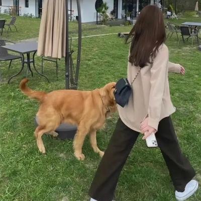 红王